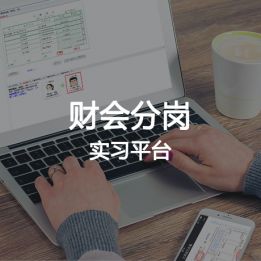 財會分崗實習(xí)平臺軟件